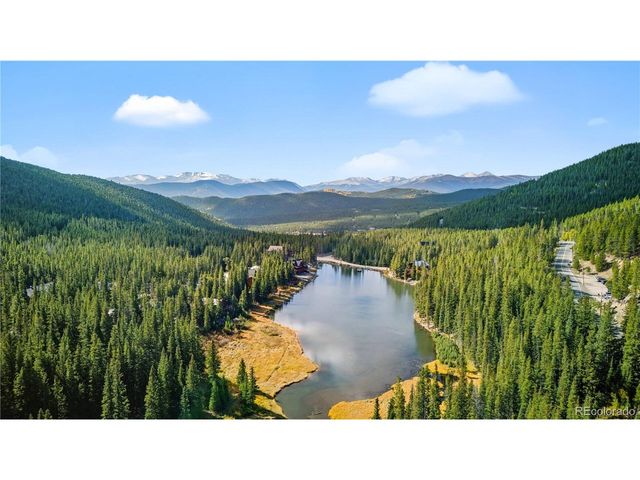 401 Lake Rd, Idaho Springs, CO 80452