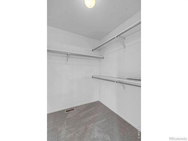1618 Tanaka Drive, Erie, CO 80516