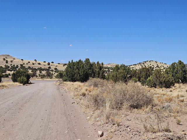 Lot 31 Magdalena Ranch Estates, Magdalena, NM 87825