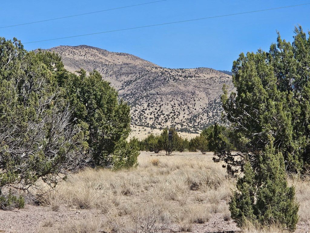 Lot 31 Magdalena Ranch Estates, Magdalena, NM 87825