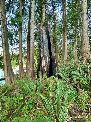 31327 W Lake Ketchum Road, Stanwood, WA 98292