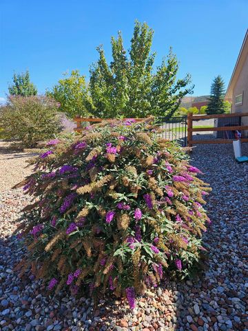 335 SE Cobblestone Court, Cedaredge, CO 81413