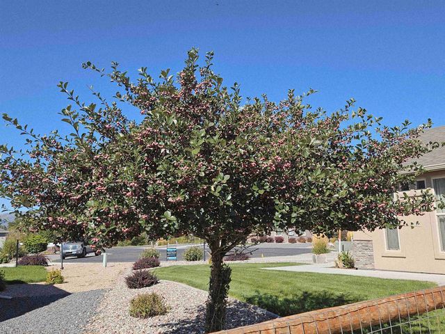 335 SE Cobblestone Court, Cedaredge, CO 81413