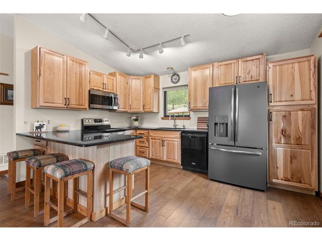 957 Yellow Pine Dr, Bailey, CO 80421