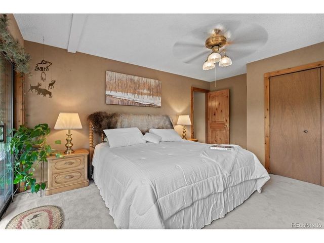 957 Yellow Pine Dr, Bailey, CO 80421
