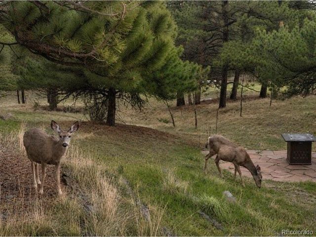 957 Yellow Pine Dr, Bailey, CO 80421