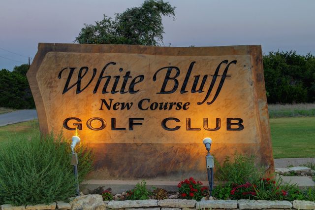 28021 White Bluff Drive, Whitney, TX 76692
