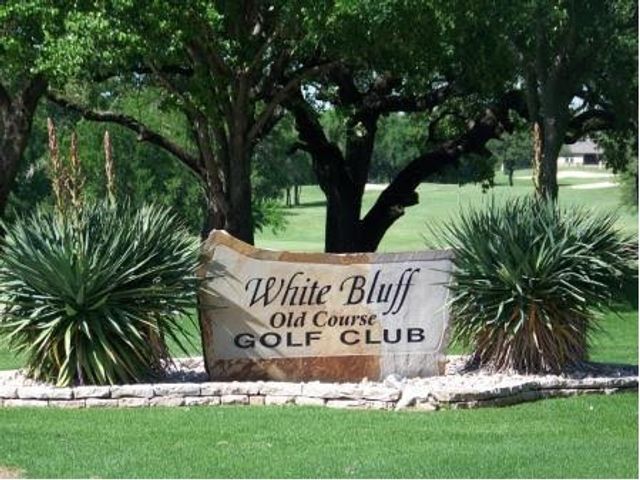 28021 White Bluff Drive, Whitney, TX 76692