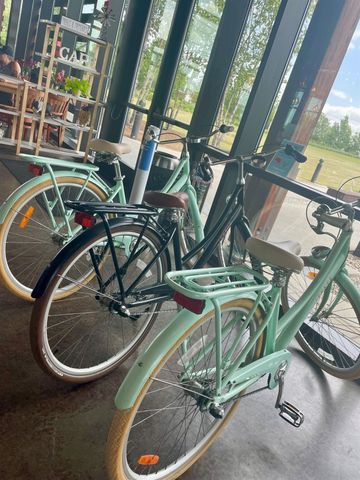 2426 Whitewing Lane, Wendell, NC 27591