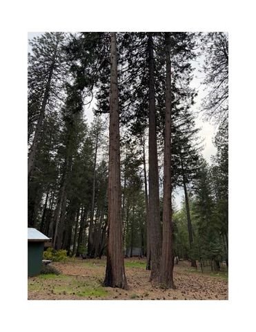 14565 Coutolenc Road, Magalia, CA 95954