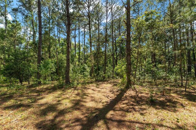 15120 SE 85TH STREET, Ocklawaha, FL 32179