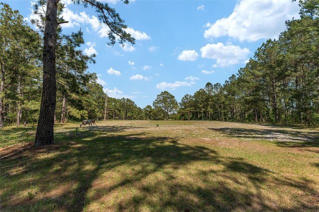 15120 SE 85TH STREET, Ocklawaha, FL 32179