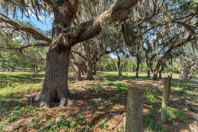 15120 SE 85TH STREET, Ocklawaha, FL 32179