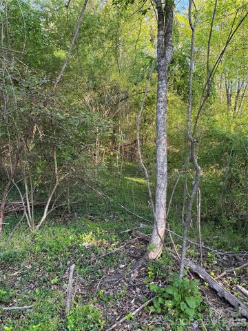 00 Cashiers Valley Road Tract 2, Brevard, NC 28712