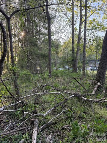 00 Cashiers Valley Road Tract 2, Brevard, NC 28712