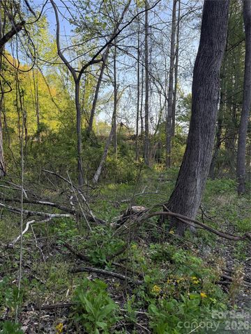 00 Cashiers Valley Road Tract 2, Brevard, NC 28712