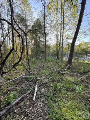 00 Cashiers Valley Road Tract 2, Brevard, NC 28712