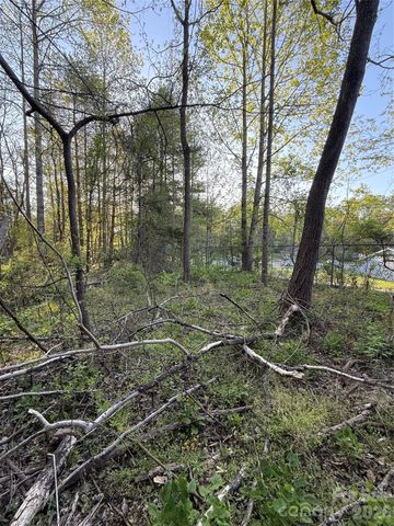00 Cashiers Valley Road Tract 2, Brevard, NC 28712