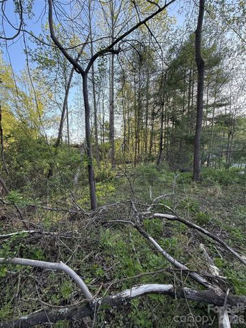 00 Cashiers Valley Road Tract 2, Brevard, NC 28712