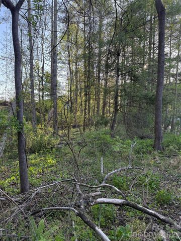 00 Cashiers Valley Road Tract 2, Brevard, NC 28712