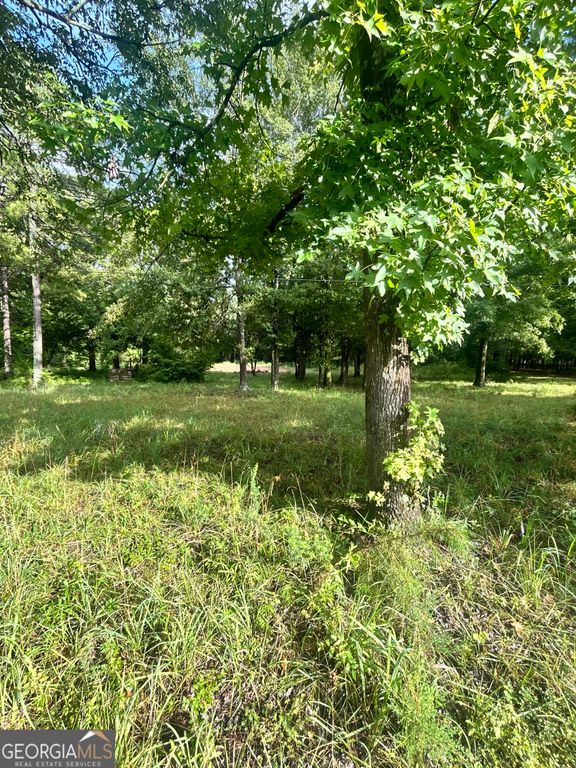 1040 Perryman Road, Buckhead, GA 30625