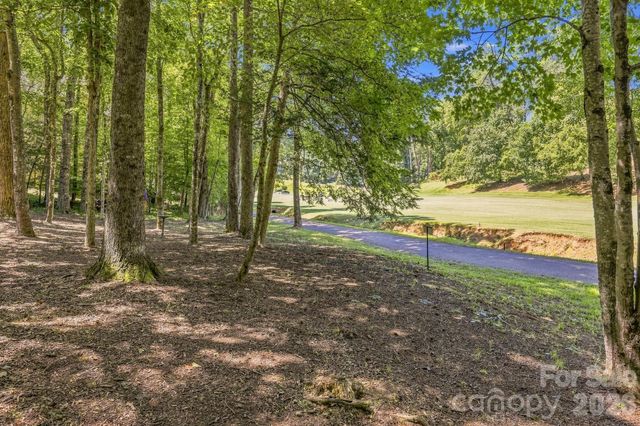 193 Downing Place, Lake Lure, NC 28746