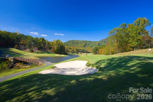 193 Downing Place, Lake Lure, NC 28746