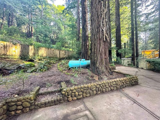 155 Mcgaffigan Mill Road, Boulder Creek, CA 95006