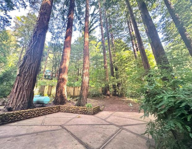 155 Mcgaffigan Mill Road, Boulder Creek, CA 95006