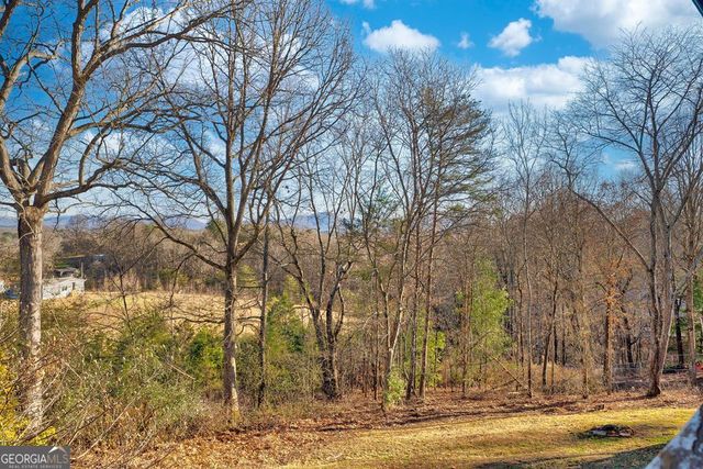 716 Lakeview Circle, Morganton, GA 30560