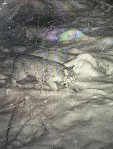 24514 State Highway 178, Cornell, WI 54732