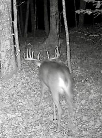 24514 State Highway 178, Cornell, WI 54732