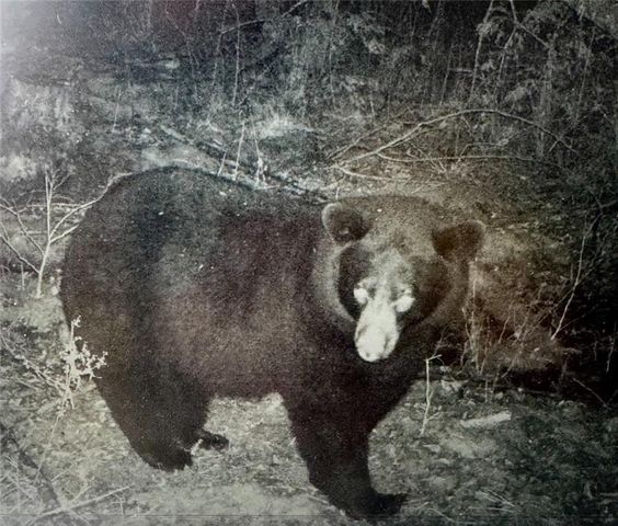 24514 State Highway 178, Cornell, WI 54732