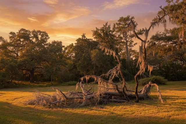 24368 DORSEY SMITH ROAD, Brooksville, FL 34601