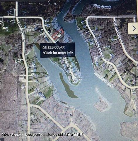 05 Lakeview Ct, Perrinton, MI 48871