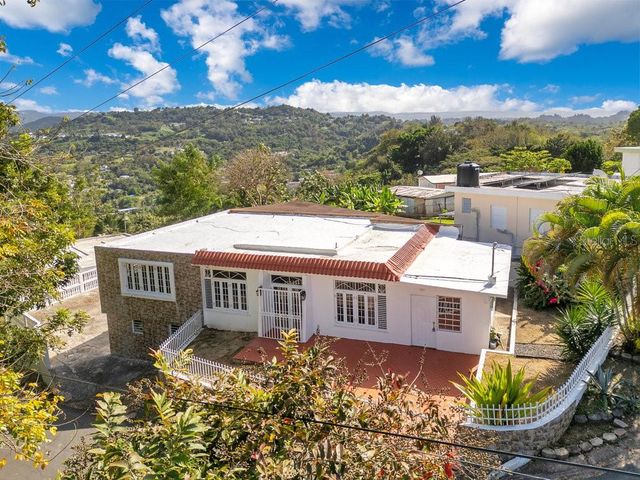 . SR 165 KM 8.5 SECTOR EL WINCHE, Toa Alta, PR 00953