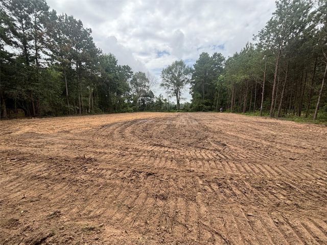 TBD County Road 3015 - Tract C2, Dayton, TX 77535