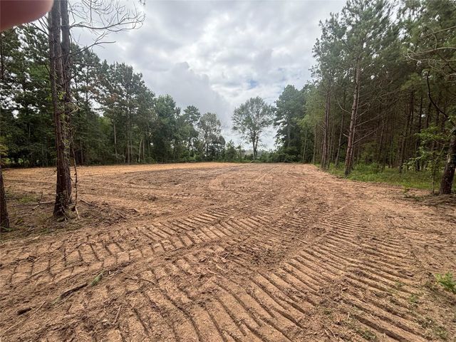 TBD County Road 3015 - Tract C2, Dayton, TX 77535