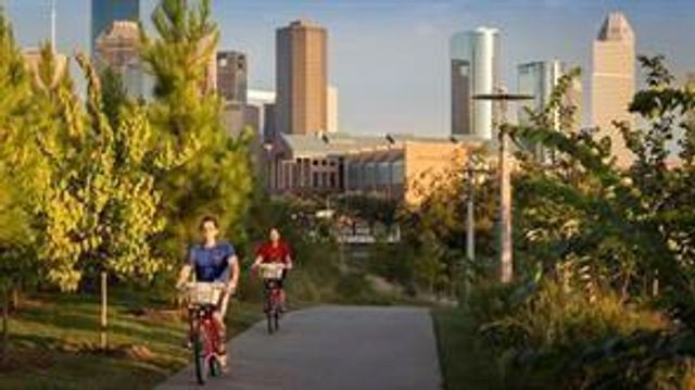 1647 Park Street, Houston, TX 77019