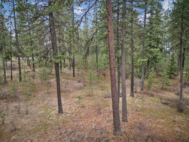 NKA Argonne-Bigelow Gulch Rd, Spokane, WA 99217