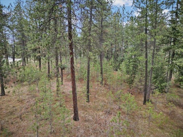 NKA Argonne-Bigelow Gulch Rd, Spokane, WA 99217