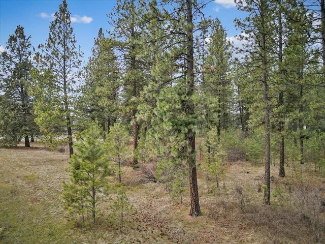 NKA Argonne-Bigelow Gulch Rd, Spokane, WA 99217