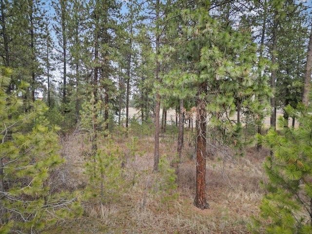 NKA Argonne-Bigelow Gulch Rd, Spokane, WA 99217