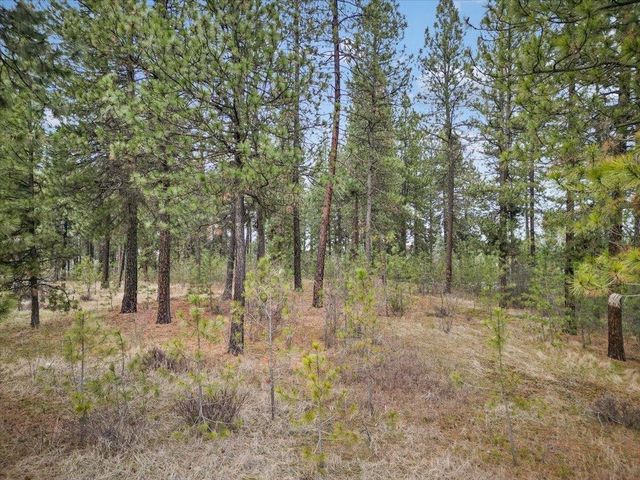 NKA Argonne-Bigelow Gulch Rd, Spokane, WA 99217