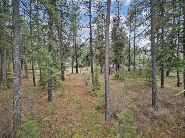 NKA Argonne-Bigelow Gulch Rd, Spokane, WA 99217