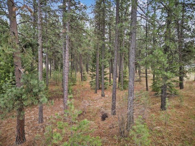 NKA Argonne-Bigelow Gulch Rd, Spokane, WA 99217