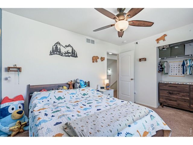 375 Shadowbrook Dr, Windsor, CO 80550
