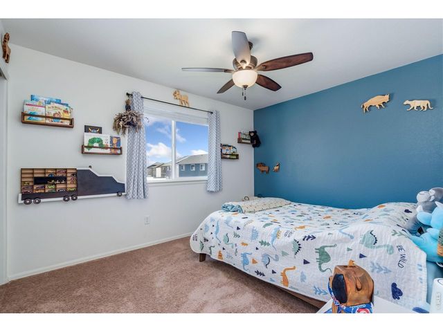 375 Shadowbrook Dr, Windsor, CO 80550