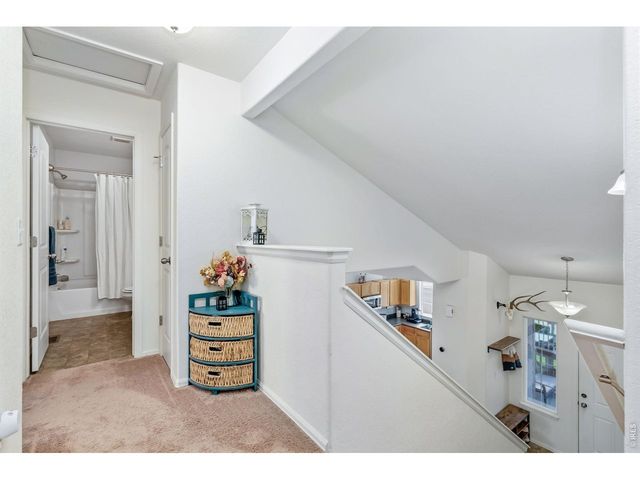 375 Shadowbrook Dr, Windsor, CO 80550