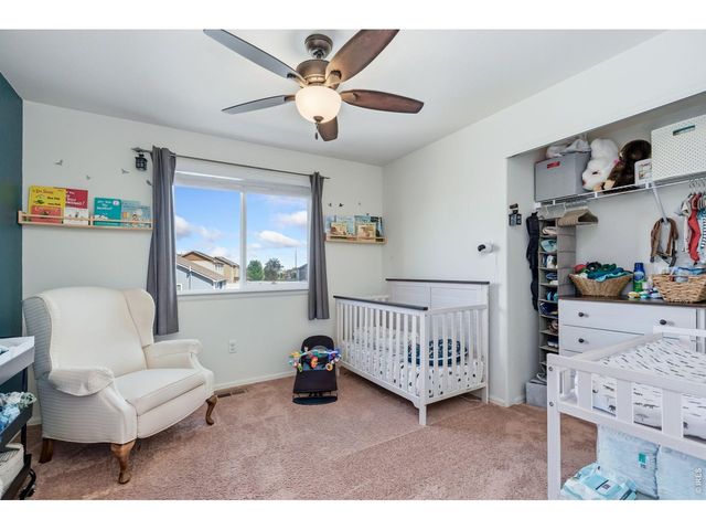 375 Shadowbrook Dr, Windsor, CO 80550